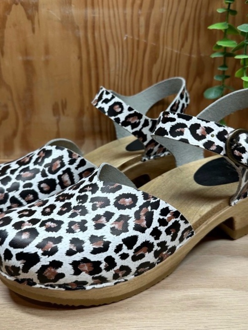 Sven Leopard-Print Clog Sandals in White and Black